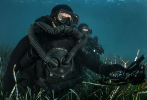 PADI Underwater Crime Scene Investigator Diver Distinctive Course 2